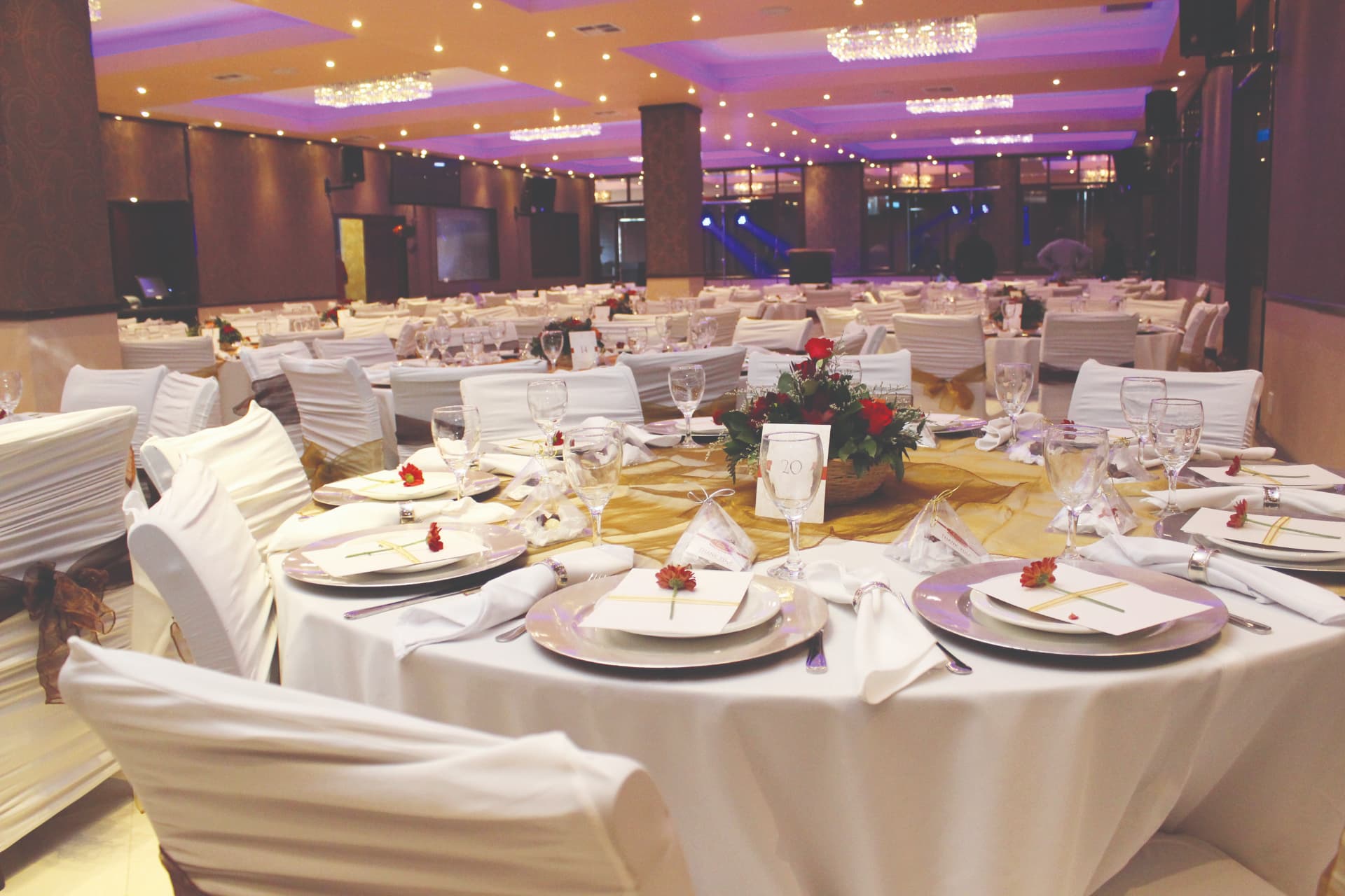The Classic India Banquet — 160 seater main hall